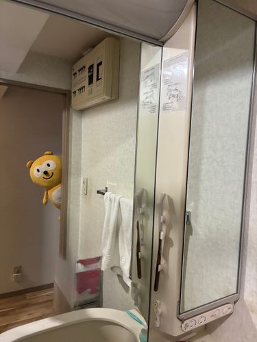 歯磨きしてたらなんかたぬきが見てた、、