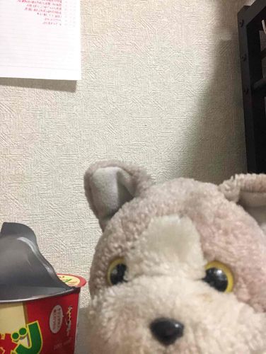 じどりしてみたにゃ
おかしおいしいにゃー