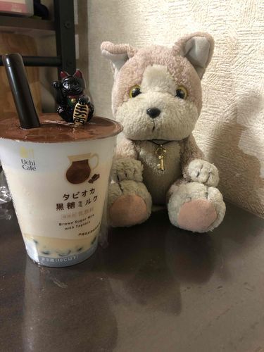 おひさしぶりにゃ
バタバタしてたけど、らいねんおひっこしすることになったにゃ！
これからまたとうこうしていくからよろしくにゃー