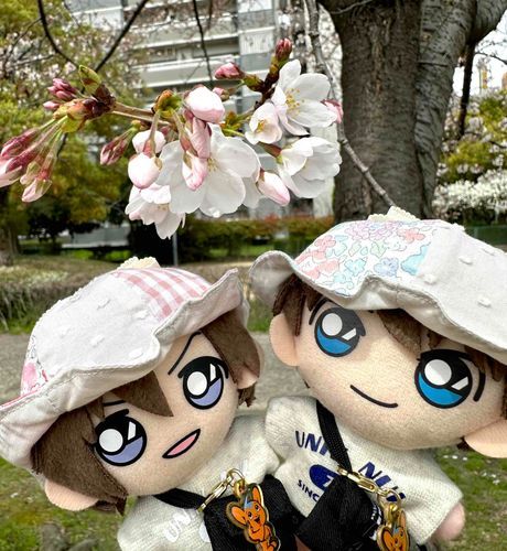 桜咲き始めたなぁ🌸