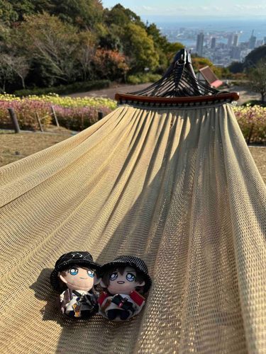 ハンモックが気持ち良くってちょっとうたた寝しちまった☀️💤