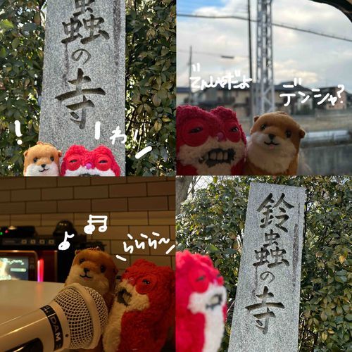 🧶ごしゅじんの おともだちの あいぼうさん
しゅうちゃむと きょうとに おでかけ！
ゆき ずっと ふってた
