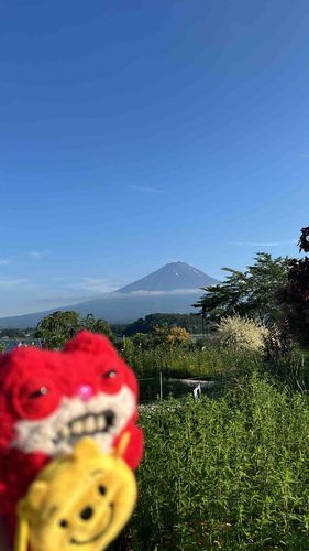 うまれてはじめての ふじさん
とっても でっかい！！