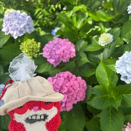 なつの おはな だね