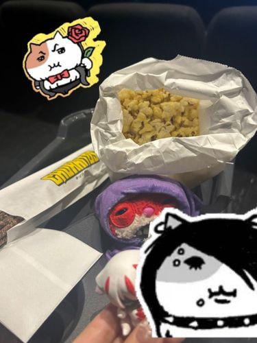 ごしゅじんと どしがたい えいがを みてきた