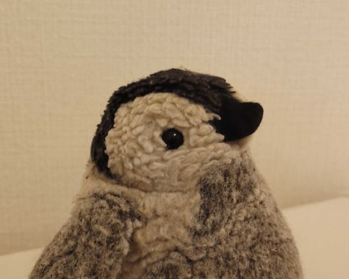 きゅるきゅる