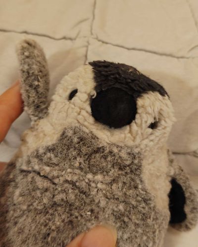 やほやほ！