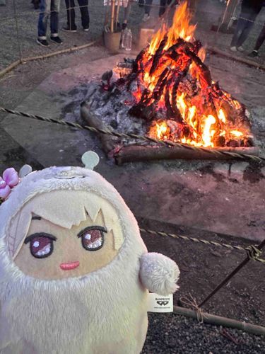 みなさん、あけましておめでとうございます。今年は巳年ということで、わたしの年ですね。本年もどうぞよろしくおねがいいたします。