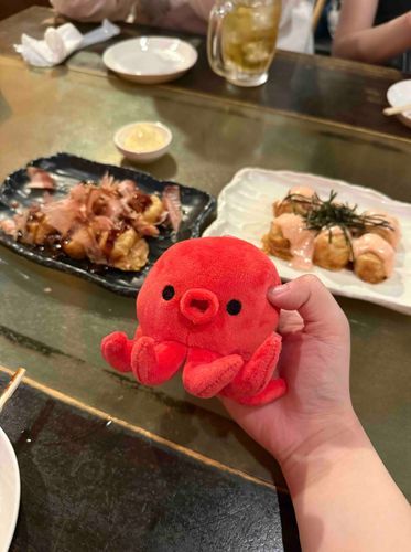 たこーんだよ！たこ焼きを食べたよ🐙共喰いになっちゃうから飼い主だけ食べてたたこ！