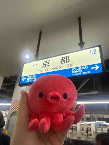 京都に来たたこ！！🐙初めての遠征！！