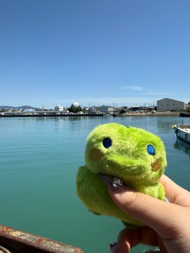 富士山🗻とくちぱっちだっち！！