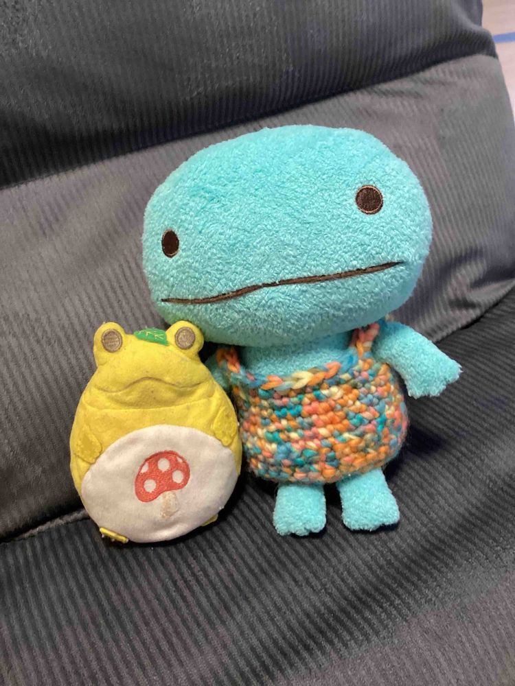これなーんだ



新人とかげちゃんの服でした！
これからよろしくね