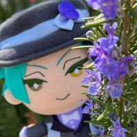 うつぼ