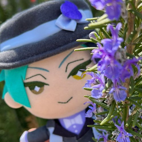 いろいろなぬいぐるみ出現します🧸
人間の手や足がうつることがあります、ご了承ください🍀*゜