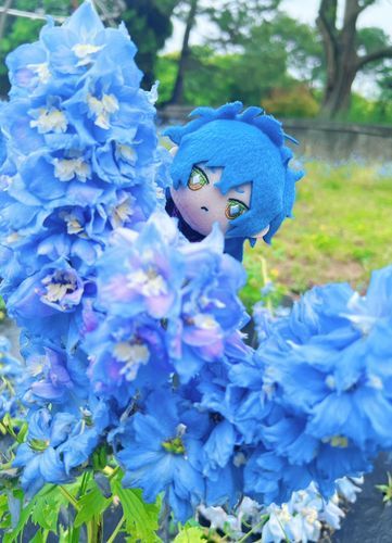 かくれんぼ🌸⋆*