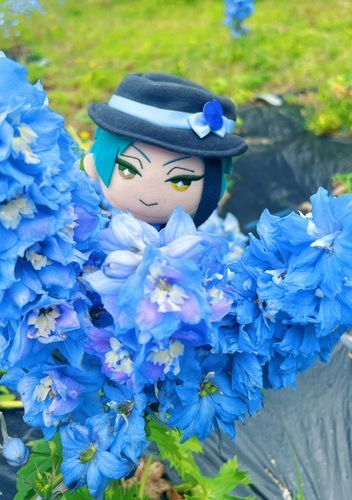 ここにいたのね💙🌸