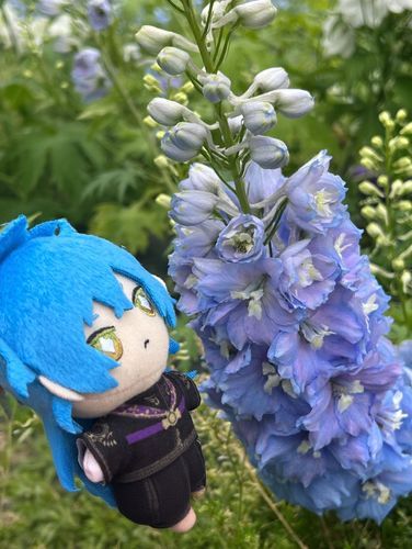 とても気になっているようです💙