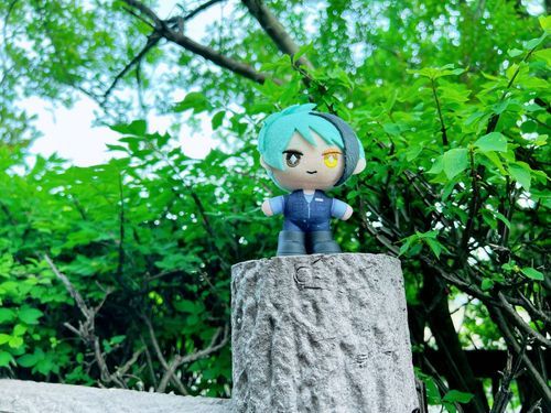 高い所に登りました😊