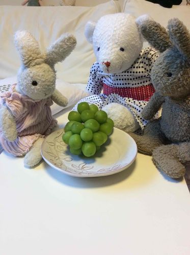 🍇おいしそう！
いただきます😋🙏
