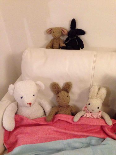 モフモフでもクーラーで冷えないようにしなきゃ🐰🐻新しいブランケット😊買ってもらったの
