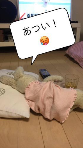 ヒンヤリした床で
ごろ寝🐰
ビール飲んで🍺ダラダラしたい。