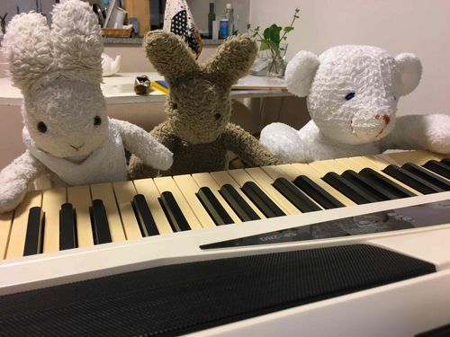 習い事始めたの🐰🐻
みんなで一緒にやると楽しいよ😊
今日は森のくまさん♪のレッスンでしたー😆