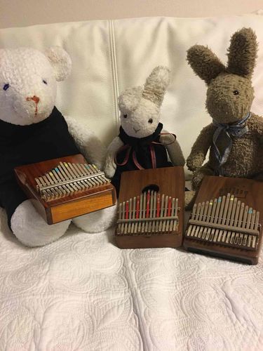 🐰🐻みんなでカリンバっていうの合奏したよ😊
このサイズの楽器、ぬいぬいの皆さんにオススメ！