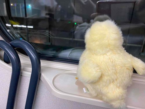 おやすみなさい💤