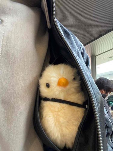 寒いからここに入ってようね
