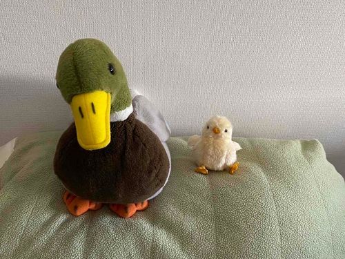 日向ぼっこの時間です