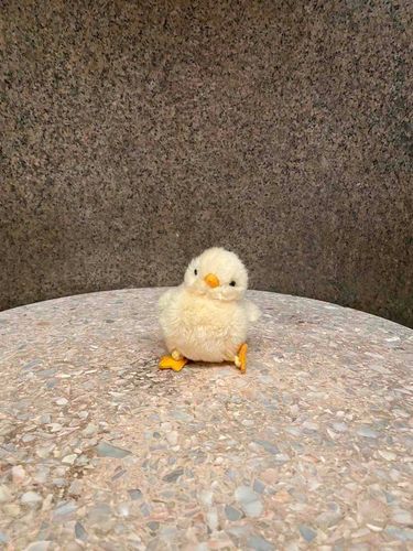 ちょこん