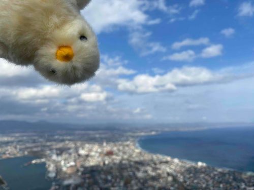 函館だよー！