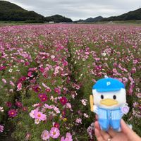 優(ゆう)