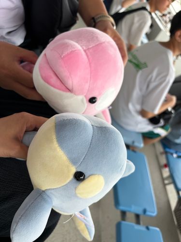須磨シーワールドへ行ってきたよ☺️
イルカとシャチのショー楽しかった✨️