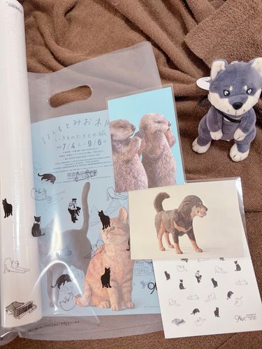 はしもとみおさんの木彫展を見にお姉ちゃんと尾道へ行ってきたよ☺️
どの動物も生きてるみたいでとっても可愛かったー🖤