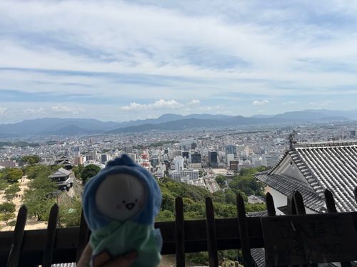 愛媛に遊びに行ったので、松山城登ってきたよ
なかなか暑かったけど、眺め良かった☺️