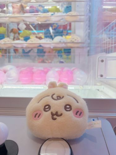 仕事行く前にガチャ見に行くのがやや日課になってて、クレーンゲームの方も見てみたら、パスケースあるじゃんと思いやっちゃいました。2000円のBABYうさぎGET🥹💛💛