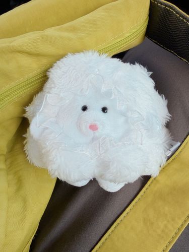 モックというコに一目惚れしてお迎えしちゃいました🥹🤍🤍
有名なコなのかな？今まで知らなかったよ