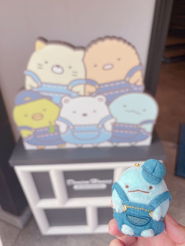 倉敷で、すみっコぐらしのとかげさんお迎えしたよ🩵🩵