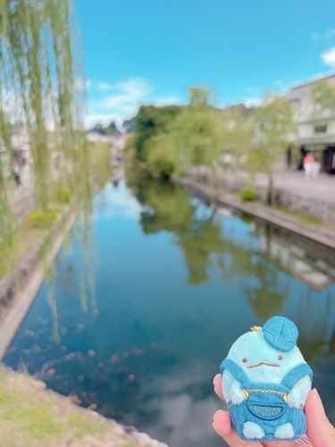 倉敷で、すみっコぐらしのとかげさんお迎えしたよ🩵🩵