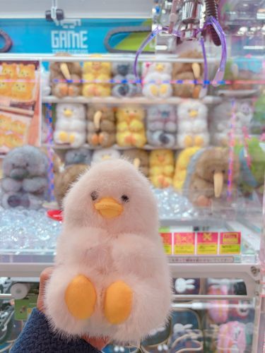 大きなトリさんGETしたんだけど、可愛すぎないかい？🐤🤍
めっちゃふわふわ～☺️