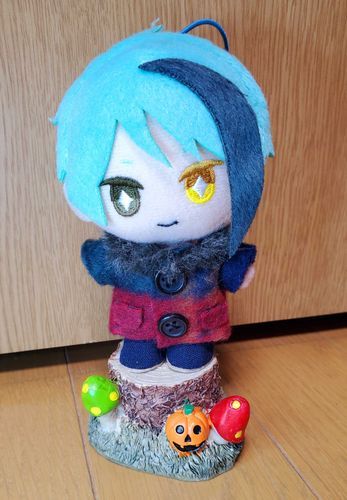 お迎え 2022年10月頃
初めて作ってあげたお洋服🧥