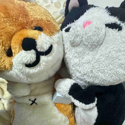ほくろ😽💕とあかひげ🐶✨だよ
よろしくね