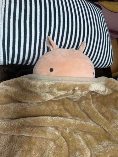 ねるっぴ