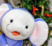 チンプイたち