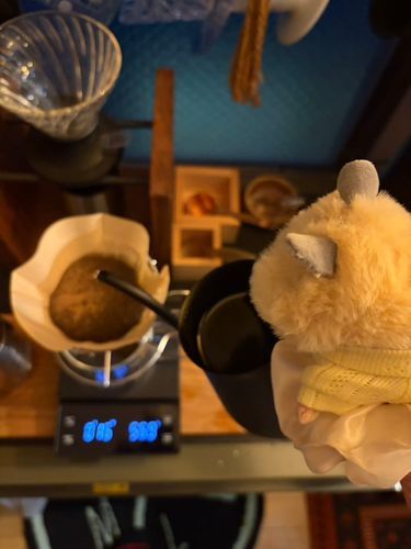ぷりんちゃんもコーヒー入れてます☕️