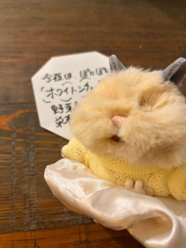 自撮りむずかしいみたい🌀🌀
