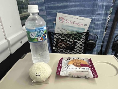 特急 快適でした