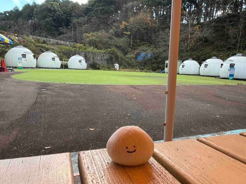 だざいふ遊園地にて
