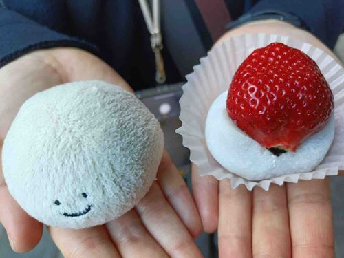 いちご大福と私を撮ってもらいました